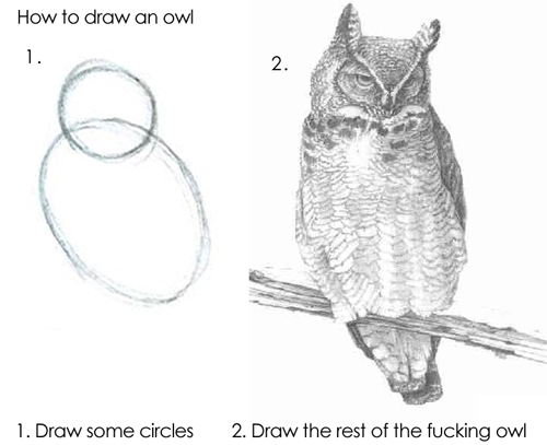 How to draw an owl. 1. Draw some circles. 2. Draw the rest of the fucking owl.