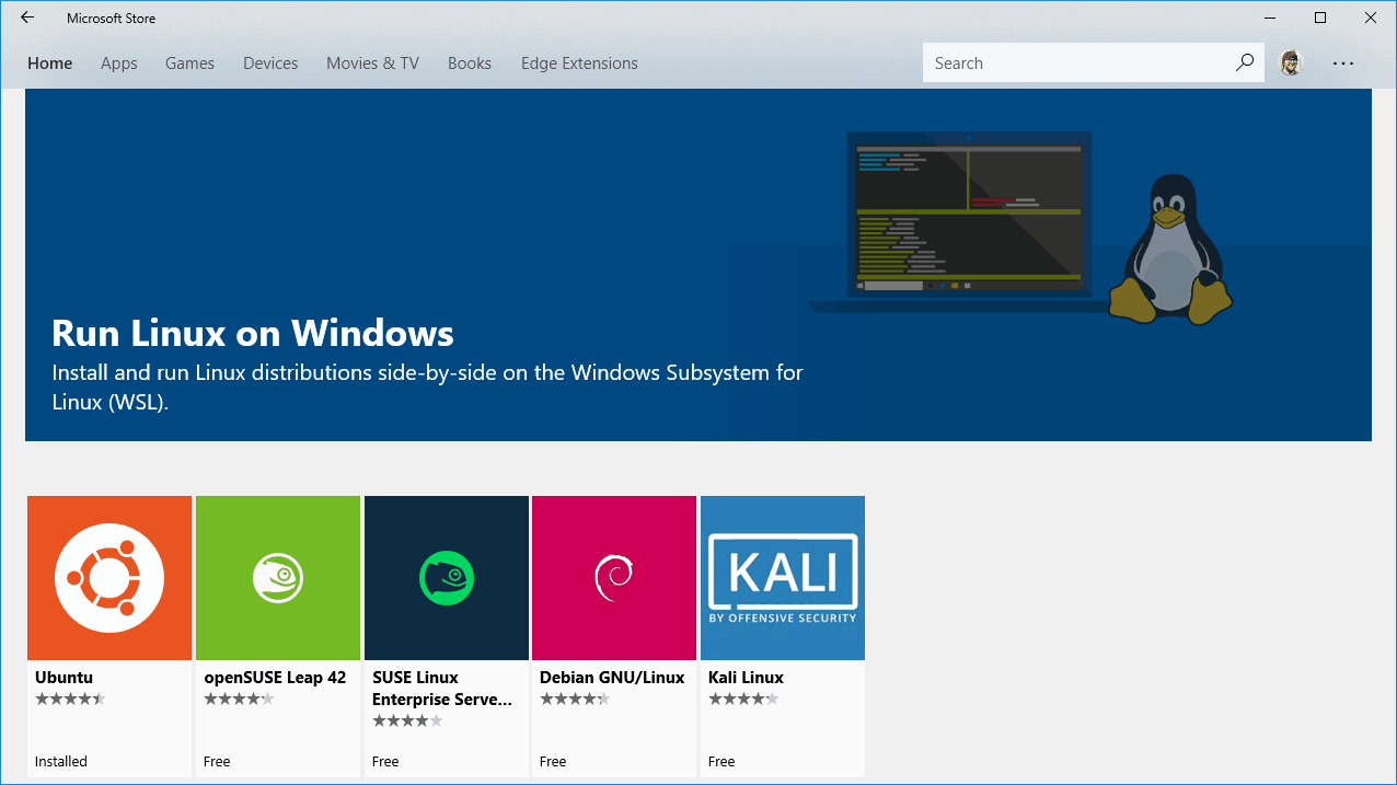 Hevc windows. Терминал для Windows 10 Bash. Linux Store. Убунту из магазина Microsoft. Windows Subsystem for Linux.