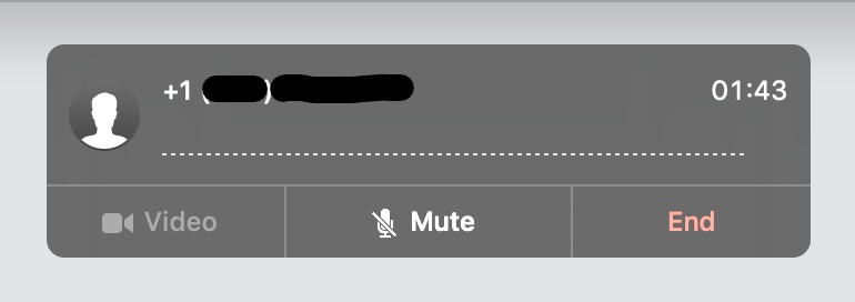 slightly bolded crossed out mic icon with mute text label